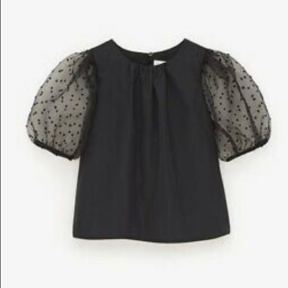 ZARA Kids Girl Taffeta And Organza Top